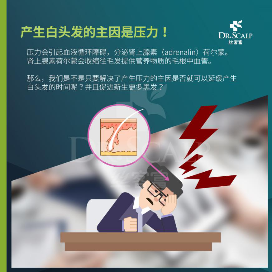 丝客富头皮管理解决白发，90%以上都有效！